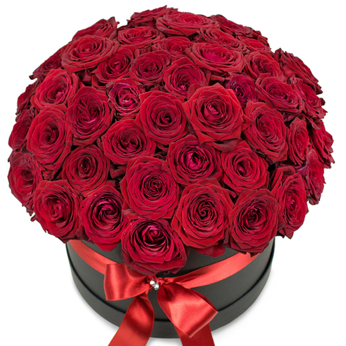 A lavish tableau of deeply-hued roses, arranged to perfection in a seamless dome, fills the frame with opulent beauty. Each bloom, boasting intense red petals with a luxurious velvety texture, is artfully nestled within a round, stylishly understated matte black hat box. The arrangement overflows in abundance, the roses tightly clustered yet individually distinguished by variations in petal structure: some buds remain gently furled, while others display their full, open majesty. A lustrous red satin ribbon envelops the base, the bow at its forefront structured and elegant, anchoring the visual drama. At the knot, a dainty crystal or silver brooch glistens, lending a sophisticated touch of sparkle-like a treasured heirloom in the heart of Golders Green. The stark white background frames the ensemble, allowing every hue and shadow to stand out without distraction. This design, reminiscent of displays found near Hampstead Heath or along Temple Fortune Parade, is ideal for gifts that speak louder than words: an affirmation of enduring love, a celebration of a milestone, or the thoughtful surprise for a cherished recipient. Flowers Golders Green delivers this exceptional creation with all the care and artistry emblematic of the neighbourhood's bespoke floristry, making it a classic choice for special moments throughout NW11 and beyond.