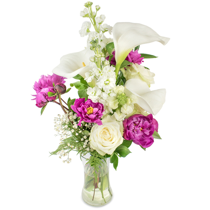 An elegantly balanced floral composition sits in a softly curved clear glass vase, the visible stems and water beneath lending an honest, fresh quality. Prominent white calla lilies define the arrangement's vertical grace, their smooth, trumpet-shaped petals and pale yellow spadices catching rim light and creating refined shadows. A tall shaft of white stock adds volume and soft texture with its multitude of small clustered blooms, providing a gentle counterpoint to the lilies' sleekness. Vivid magenta peonies lend sumptuous drama: two fully open peonies near the mid-to-lower section unfurl thick, velvet-like ruffles of petals, while a smaller bud on an exposed stem hints at the bouquet's ongoing life. Tucked close to the stems lies a creamy white rose, its compact spiral of petals calming the vividness with timeless poise. Sprays of gypsophila, baby's breath, float through the arrangement like breath, filling gaps and lending a feathery, delicate sheen. Greenery-slender fern-like fronds and broader leaves-frames and supports, the saturated greens intensifying the whites and magentas above. Bathed in soft indoor light, the bouquet suggests celebration: a wedding table centerpiece, an anniversary gift, or a Mother's Day offering. As a florist who works in and around Golders Green, I imagine this piece being chosen for a thoughtful delivery to a flat near Golders Green Station or to a family home by Finchley Road, where its structure and scent will be appreciated for both form and feeling.