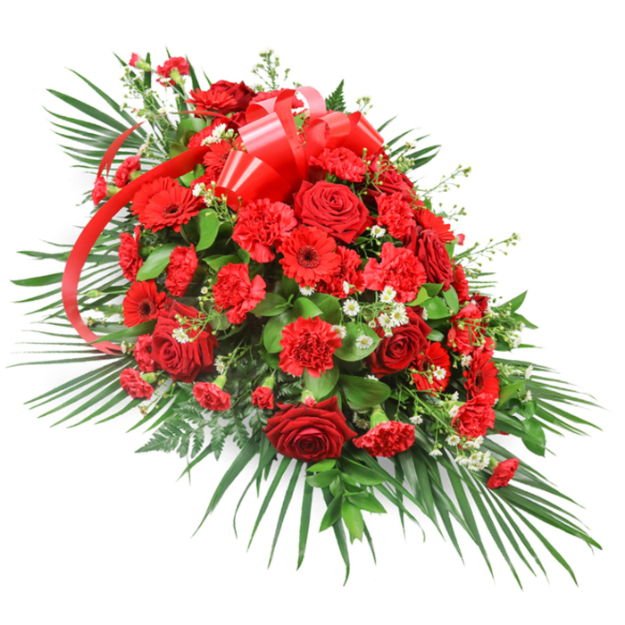 Displayed against a bright white background, this striking red funeral spray stretches out in a graceful, elongated arc, like a final gesture laid gently beside a loved one. At its core, an abundance of red roses forms the focal point: some are tight, sculpted buds, while others have opened fully to reveal layers of velvety petals, each blossom a rich, deep crimson. Nestled among them, clusters of red carnations provide a plush, ruffled texture that makes the arrangement feel especially full and comforting. Interspersed between these are red gerbera daisies, their flat, round faces and darker centres adding a contemporary touch and creating a pleasing contrast of shapes. Scattered delicately through the mass of red are fine clusters of tiny white flowers, reminiscent of baby's breath or miniature chrysanthemums, which introduce small sparkling highlights and keep the design from feeling too heavy. A bold, satin red ribbon bow crowns the upper section, its glossy loops and long streamers weaving naturally through the blooms, suggesting a personalised message or family name that might be added for a funeral service. Surrounding all of this is a rich foundation of greenery: long palm fronds flare out from the base and sides, framing the flowers and giving the spray its distinctive silhouette, while shorter, darker leaves, likely salal or ruscus, fill out the centre. Occasional fern-like fronds break the outline with soft, feathery detail. Crafted with the experienced eye of a Golders Green florist familiar with services in nearby Hampstead, Brent Cross, and along Golders Green Road, this red and green spray communicates profound respect, devoted love, and a sense of dignified farewell.