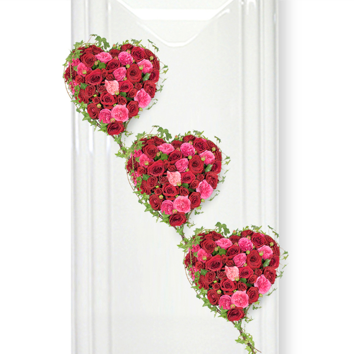 The scene shows three stunning heart-shaped floral arrangements, each one a dense mosaic of roses, aligned in a soft diagonal that leads the eye from the upper left corner down to the lower right. Every heart is filled edge to edge with roses in shades of deep red, bold fuchsia, and delicate pale pink, with buds at different stages of opening creating a richly layered, almost three-dimensional surface of petals. The deeper crimson roses evoke profound, passionate love, while the brighter and softer pink blooms introduce notes of tenderness, admiration, and gratitude, much like the complex emotions shared at a farewell ceremony for someone beloved within the Golders Green community. Around the contour of each heart, slender tendrils of fresh ivy curl and weave, their small, pointed leaves glossy and dark, outlining the shapes with a natural, organic frame. These same ivy vines stretch from one heart to the next, visually binding them together and suggesting unbroken continuity between generations, families, or close-knit friends. The whole composition rests against a spotless white background, reminiscent of a contemporary chapel wall or a dedicated display panel in a local funeral home, where soft, even lighting gently illuminates every petal and leaf without distraction. There are no additional elements or clutter; the focus remains entirely on the roses and ivy, highlighting the care and skilled craftsmanship that has gone into this tribute. It feels both romantic and reverent, a suitable arrangement for funerals, memorial services, or celebrations of life held around Golders Green, allowing mourners to express deep affection, remembrance, and respect through a timeless floral symbol.