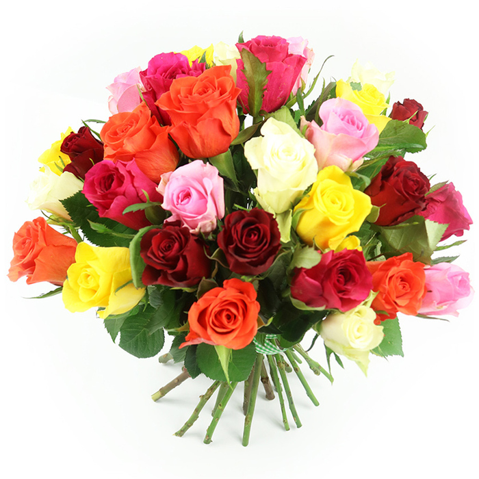 An opulent spray of approximately thirty to forty roses commands attention, set crisply against a pure white backdrop that makes each shade stand out with clarity. The bouquet is tightly bound yet looks luxuriously full, its rounded, dome-like profile overflowing with rose heads that brush up against one another. Each bloom is distinct, yet all blend harmoniously: velvety crimson and garnet reds, bright fuchsia and magenta, soft powder pinks, buttery yellows, flame-tinted oranges, and creamy ivory roses are evenly mixed throughout the arrangement. Some flowers are fully open, revealing concentric layers of petals that seem almost sculpted; others remain partially closed, offering a sense of movement and life as if the bouquet will continue to evolve on the recipient's table. Lush, dark green foliage slips between the blossoms, framing the colours and adding depth, reminiscent of the verdant greenery you might see walking through nearby Golders Hill Park. The stems are drawn together neatly below the flowers, bundled into a clean, tight handful and secured with a charming green and white gingham ribbon that introduces a relaxed, country-garden note. A soft, even light falls across the bouquet, eliminating harsh shadows while gently emphasising the velvety surface of each petal and the subtle sheen on the leaves. The scene feels bright, modern, and quietly celebratory, ideal for marking a birthday, anniversary, graduation, or simple thank you for someone in Golders Green or Temple Fortune. It evokes the feeling of a carefully chosen floral gift, prepared by a skilled local florist and ready for same-day delivery to a loved one's doorstep.