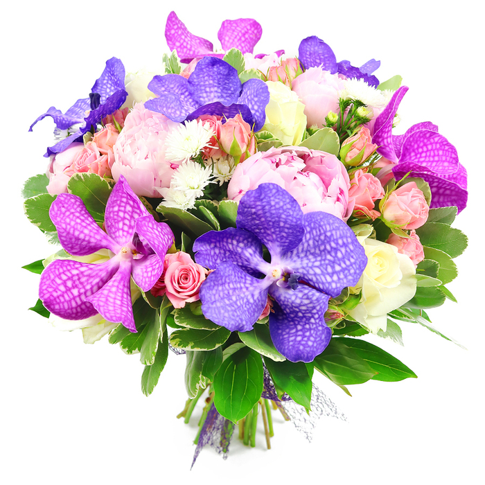 Set against a clean, white studio background, this sumptuous bouquet appears almost to float, every bloom carefully positioned to showcase both colour and craftsmanship. Several large Vanda orchids immediately catch the eye, their petals saturated in deep indigo purple and bold fuchsia, each one marked with delicate speckles and vein-like patterns that lend an exotic, almost architectural quality. Interwoven with these are generous pink peonies, fully opened to reveal layer upon layer of soft, ruffled petals that create a plush, cushiony texture and a romantic, old-world charm. Around these statement flowers cluster small spray roses in shades of blush pink and peach, some just beginning to open, giving the arrangement a sense of life and progression. Creamy white and very pale buttery roses punctuate the design, adding lightness and elegance, while tiny, star-shaped white filler flowers, similar to diminutive chrysanthemums, are tucked into the gaps, filling the bouquet with fine, intricate detail. All of this rests on a foundation of abundant green foliage, including wide, glossy leaves and more delicate, variegated greens that add depth, shadow, and a vibrant, natural base, reminiscent of the varied greenery seen in the residential streets and gardens around Golders Green station. At the bottom, the stems are carefully aligned and tied with a sophisticated purple ribbon, enhanced with a hint of sheer mesh that suggests professional presentation and readiness for gifting. The colour palette of purple, magenta, pink, peach, cream, and rich green feels celebratory yet refined, making this arrangement an ideal choice for wedding anniversaries, engagement celebrations, or a luxurious thank-you delivered to homes and offices throughout Golders Green.