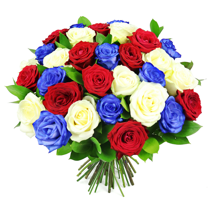 The image presents a lavish dome of roses, meticulously arranged into a full, rounded bouquet that almost fills the entire frame. The roses follow a patriotic palette of rich crimson red, creamy white, and vivid royal blue, each bloom nestled closely to the next so that the flowers appear as a single, opulent cushion of colour. Some roses are tightly closed, their petals wrapped in elegant spirals, while others are more open, revealing layers of velvety texture that you can almost feel under your fingertips. Deep, glossy green leaves are woven discreetly between the blooms, adding just enough contrast to stop the arrangement from looking flat, and giving a sense of natural garden freshness. At the bottom of the bouquet, a harmoniously gathered cluster of stems-green tinged with natural brown-is clearly visible, cut to an even length in the fashion of a hand-tied gift prepared by a skilled local florist. The clean, stark white background creates a gallery-like setting, making the bouquet the undeniable focal point and highlighting the intensity of the red, white, and blue tones. Visually, the arrangement suggests a bouquet destined for commemorations, national holidays, or community events around Golders Green, from gatherings near Golders Hill Park to family celebrations just off Finchley Road. Though you cannot smell it, the picture conjures the familiar, nostalgic perfume of classic garden roses, underscoring themes of unity, remembrance, and shared pride. The overall mood is both celebratory and respectful, as if this carefully crafted bouquet has been designed to honour meaningful moments in the lives of local residents.