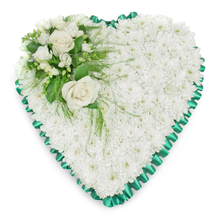 A classic heart-shaped sympathy tribute dominates the image, its form defined by meticulous floristry and a palette of fresh whites and deep greens. The main body of the heart is densely packed with white chrysanthemums, each bloom closely nestled against the next until no gaps remain. Their small, rounded petals overlap to create a richly textured surface, almost like a quilt of blossoms, soft yet precise. The pure white colour radiates calm and reverence, perfectly suited to moments of farewell in and around Golders Green's quiet residential streets and local chapels.
Surrounding this floral blanket, a vivid emerald green satin ribbon is pleated with great care. Every fold creates a repeating scalloped pattern, drawing a clean, defined outline around the heart. The ribbon's smooth, reflective surface contrasts with the subtle, velvety finish of the chrysanthemum petals, adding a tailored, almost ceremonial touch. At the upper left of the heart, a focal spray has been added to give the tribute a sense of movement and grace. Two white roses in full bloom emerge as the centrepiece, their spiralling petals arranged in perfect symmetry, suggesting devotion, remembrance, and enduring affection.
Around the roses, smaller white blooms-resembling freesias or similar dainty flowers-introduce finer detail and a more delicate texture. Clusters of rich green foliage, including polished leaves and soft, trailing fronds, stretch gently over the edge of the heart and across the chrysanthemum base. This interplay of structured heart form and freer, natural greenery makes the arrangement feel both composed and tenderly personal. It is an understated yet eloquent floral heart, the kind families might choose for a funeral or memorial near Golders Green, to honour a cherished life with quiet dignity and love.
