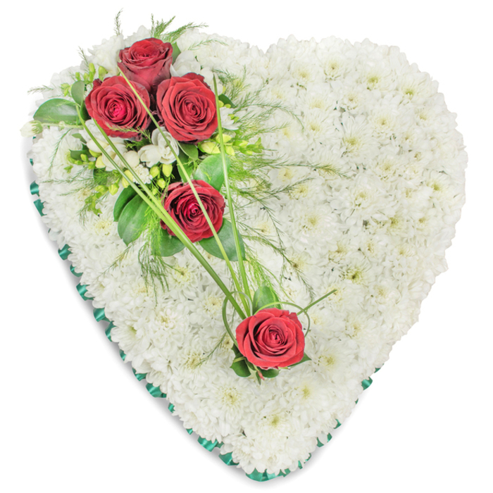 A meticulously crafted, heart-shaped funeral tribute is shown against a bright, uncluttered white background, allowing every detail of the floral work to stand out clearly. The body of the heart is densely massed with small-headed white chrysanthemums, their tightly packed petals overlapping to form a thick, pillow-like surface with a soft, almost downy texture. This continuous field of white suggests purity, tranquillity, and an embracing calm, reminiscent of the quiet moments before a service at one of the chapels near Golders Green. From the upper left curve of the heart, an asymmetric spray of five deep red roses sweeps diagonally towards the centre-right. Three roses are gathered together at the top, their velvety petals rich with crimson tones, surrounded by glossy, dark green foliage and feathery, fern-like greens. The arrangement is softened further by a few sprigs of tiny white filler flowers, which echo the chrysanthemum base yet add a different scale and form. Two more red roses sit lower down and to the right, thoughtfully spaced so that the eye travels smoothly along the design. They are visually linked to the main cluster by slender, arching lengths of bright green ornamental grass, which curve gracefully over the white background of petals, lending rhythm and movement. A deep forest-green satin ribbon encircles the entire perimeter of the heart, carefully pleated to frame the shape with a polished finish. This classic tribute, often chosen by families from Golders Green, Cricklewood, and surrounding areas, conveys enduring love, respect, and a quiet, dignified farewell at funerals, cremations, or memorial gatherings.
