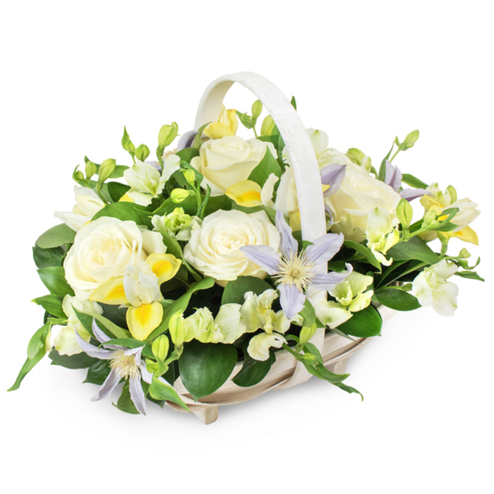 The photograph captures a graceful sympathy flower basket, carefully arranged and placed against a bright white background that amplifies its soft, pastel tones. A light, neutral wicker basket with an integrated handle provides the base, its weave neat and even, echoing the sense of order and care within the flowers themselves. Emerging from this basket is a rounded, almost dome-like arrangement dominated by large, creamy white roses, each bloom fully open and perfectly formed, with gently curling petals that evoke warmth and remembrance. Threaded through the roses are starry clematis blossoms in delicate pale lavender and silvery blue, their pointed petals spreading outward around vivid yellow-green centres, adding a note of gentle individuality to the traditional white funeral palette. Between these main flowers, clusters of white and soft yellow freesia-style blooms create a light, airy texture; some blooms face outward, while others peek from between the greenery, suggesting layers of memories and moments. Additional white filler blossoms, similar to lisianthus with slightly ruffled edges, soften the lines and add further volume without overwhelming the central blooms. Lush deep green foliage, from broad, glossy leaves to slender sprigs, encircles and supports the flowers, lending contrast and a sense of fresh life. The design feels composed yet natural, like a thoughtfully tended garden in one of the quieter streets off Golders Green Road. This is the sort of basket that might be sent to a funeral service, shiva house, or memorial gathering in Golders Green, offering a quiet message of comfort, sympathy, and enduring affection when delivered by a caring local florist.