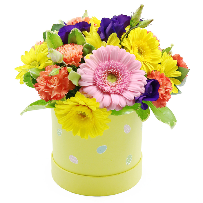 A charming Easter-themed hatbox arrangement is presented as a tight, domed bouquet, radiating colour and optimism much like the first blossom-lined walks through Golders Green's residential streets in April. The composition is dominated by a single, prominent pale pink gerbera placed near the front, its wide, symmetrical face made up of neatly layered petals that graduate softly toward a pale green centre, creating a gentle focal point that draws the eye. Surrounding this star bloom, a generous cluster of bright yellow chrysanthemum-style daisies forms a vivid ring of sunshine, their fine, linear petals fanning outwards and giving the arrangement a joyful, almost sparkling energy. Interspersed among the yellow and pink are coral-orange carnations, their dense, frilled petals adding both volume and a warm, comforting tone reminiscent of cosy interiors in the local cafés. Deep violet to indigo-purple lisianthus blossoms punctuate the design at intervals, their smooth, folded petals introducing contrast and depth, like pockets of shade within a sunlit garden. Lush greenery, including some subtly variegated leaves with lighter edges, fills out the profile and softens transitions between colours, lending a natural, garden-grown feel. All of this is gathered into a cylindrical, hatbox-style container in a soft pastel lime-yellow shade, its surface playfully decorated with small Easter egg motifs in pastel blues, pinks, and whites, some delicately patterned with dots or stripes. The box sits against a spotless white background, allowing the colours to sing clearly and making the whole display ideal as an Easter table centrepiece or seasonal gift for friends and family living in and around Golders Green.