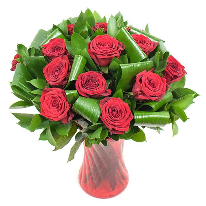 At first glance this arrangement reads as a celebration of deep, passionate red: a dozen-plus full-bloom roses, each bloom unfolding in plush, velvety spirals that reveal layered textures and a concentrated, wine-like core of colour. The petals' velour finish is captured by steady, flattering light that highlights both shadow and sheen across the heads, conveying freshness and careful handling. Interwoven among the roses is a generous selection of dark green foliage - dense, glossy leaves forming a rich backdrop and larger, shimmering greens carefully rolled, curled, and looped into architectural shapes that cradle individual blooms. These folded leaf forms give the bouquet stiffness and modern movement, a deliberate contrast to the softness of the rose petals and a signature touch of professional floristry. The stems rest in a tall, slender ruby-red glass vase, translucent and slightly ribbed, whose subtle twisted pattern runs vertically and plays with reflections to reinforce the arrangement's dramatic red tones. Set against a crisp white background, every hue and texture reads with clarity, making the roses and foliage the unmistakable focal point. The scent is implied - that classic, heady rose perfume that lingers - and the mood is intimate, ideal for anniversaries, romantic apologies, or a luxurious Valentine's gift. Prepared locally by Flowers Golders Green for delivery across the area, from Golders Hill Park to the shops along Golders Green Road, this bouquet is both a skilled design and an emotional statement.
