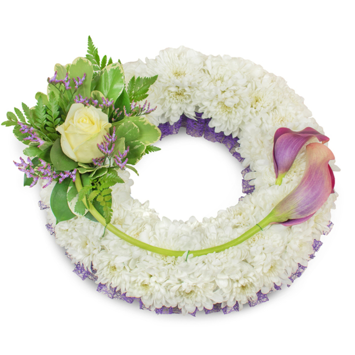 A large, composed funeral wreath formed of a very full, circular bed of pristine white chrysanthemums, each tiny floret packed closely to create a soft, cloud-like mass that symbolizes purity and repose. Underlayered along the inner rim is a ruffled, deep purple netting that peeks through in places, introducing depth and a subdued color resonance without overwhelming the white field. At the upper-left quadrant a compact boutonnière-like cluster provides focal interest: a single, perfectly cupped cream or pale yellow rose sits at the center, its satiny petals contrasted by an array of foliage - broad, variegated leaves with lighter edges and feathery fern fronds that lend texture and movement. Interspersed among the greens are thin sprays of lavender-purple statice, their small, papery blooms adding a refined punctuation of color and a slightly rustic feel. Mirroring the top-left grouping, two elegant calla lilies are positioned on the right side and sweep across the lower-middle arc from around two to five o'clock; their trumpet-shaped blooms show a delicate ombré from deeper purple at the tips through peachy-pink or blush near the base, and their bright green stems curve naturally along the wreath's contour. A single longer stem rises from the left cluster and crosses the lower section, secured discreetly and leading toward the base of the callas, unifying the composition. Presented against a clean white backdrop under soft daylight, the wreath reads as a measured, dignified tribute suitable for memorial services in Golders Green and the surrounding NW11 neighbourhood, including ceremonies at local chapels and green spaces like Golders Hill Park.