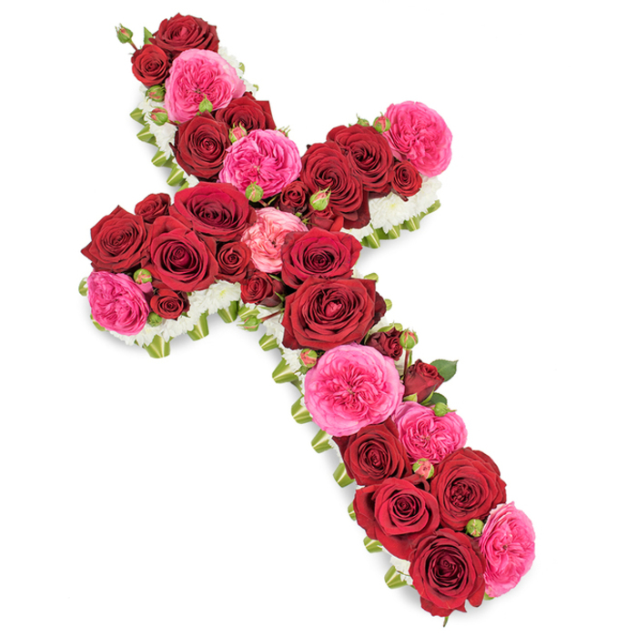 This image shows a traditional Christian cross made completely from fresh flowers, arranged with the care and precision you might expect from a long-established Golders Green florist preparing a tribute for a local funeral service. Set against a crisp, uncluttered white background, the cross appears almost to float, its colours and textures standing out in vivid detail. The main body of the design is composed of abundant red roses, each one fully open and velvety, packed closely together to form a continuous field of deep, crimson petals along both the upright stem and the horizontal arms. Their intense hue suggests deep love, reverence, and a powerful sense of farewell. Interwoven among the red blooms are generous clusters of vibrant fuchsia-pink garden roses, or similar multi-petalled varieties, their slightly lighter tone and ruffled texture providing a gentle contrast that brings warmth and tenderness to the composition. Smaller rosebuds in matching reds and pinks are tucked between the larger flowers, filling every gap, adding depth, and hinting at the way memories and stories of the departed continue to blossom over time. The entire outline of the cross is crisply defined by a border of tiny white flowers-likely spray chrysanthemums or petite carnations-forming a soft, cloud-like edging that emphasizes the sacred shape and introduces a sense of purity and peace. Glimpses of fresh green foliage and perhaps slender green ribbon emerge at the perimeter, framing the design and underscoring the professional, handcrafted nature of the tribute. Gentle, even lighting casts minimal shadow and brings out the natural sheen of each petal. The result is a refined sympathy flower cross, suitable for display in a chapel of rest, at Golders Green Crematorium, or during a memorial gathering, offering visual comfort and expressing faith-filled remembrance.