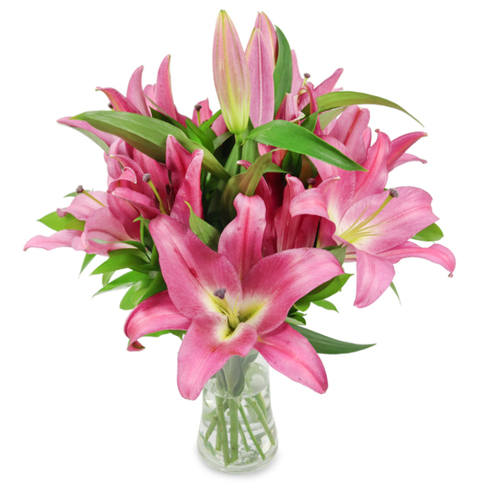 A striking bouquet of freshly cut pink oriental lilies stands tall in a clear glass vase against a crisp white backdrop, composed to showcase colour, texture and the confident geometry of each bloom. The arrangement presents a generous mass of flowers in vibrant fuchsia and rosy pink, many fully open to reveal broad, star-like petals that curl gracefully away from chartreuse-yellow throats, which mellow into creamy centres. Dark burgundy stamens stud the interiors, dusted with pollen that contrasts with the petals' satiny surfaces, while a scattering of elongated buds - some pale and tightly closed, others flushed deep pink with green tips - promises further blooms in the days to come. Lush, dark green, lance-shaped leaves and strong upright stems provide a verdant backdrop; their glossy texture and structural rhythm are visible through the vase's transparent sides and the clean water, evidence of careful trimming and professional handling. The studio light is soft and even, picking out fine petal veins and the delicate sheen on the lily skin, while the imagined fragrance is sweet and enveloping. As prepared by Flowers Golders Green, this bouquet reads both as an elegant gift for Mother's Day, anniversaries, or birthdays and as a composed sympathy tribute; it also suits a contemporary home accent for a flat near Golders Hill Park or a concierge table on Golders Green Road. The overall impression is one of refinement, freshness and horticultural confidence, described with the sensibility of a local florist attentive to colour, form and the customer's emotional intent.