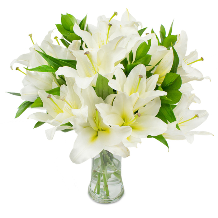 A large, meticulously composed bouquet of white lilies dominates the image, housed in a transparent glass vase and set against an immaculate white backdrop so that every nuance of the flowers is visible. The trumpet-shaped blossoms vary between fully open and gently unfurling, each displaying several layers of crisp, pure white petals that bend and overlap with soft, rhythmic motion. At the heart of many blooms a subtle creamy-yellow tone deepens toward the throat, offering a warm counterpoint to the luminous white surfaces. Prominent within several flowers are long, slender stamens-pale greenish-yellow filaments tipped with earthy brown anthers-that introduce a tender, natural contrast and draw the eye to the centre of each blossom. Throughout the arrangement, abundant deep green, lance-shaped foliage threads between the flowers, their glossy veins and pointed forms contributing to a rich, three-dimensional fullness. The clear vase, with a gently flared neck and steady base, shows neat green stems suspended in clean water, the clarity underscoring the freshness of the stems and the care taken in trimming and conditioning. The overall mood is serene and refined, evoking themes of purity, remembrance, and quiet celebration; it would sit as naturally on a mantel in a Golders Green home as it would in a contemplative corner of a local chapel. Created with the eye of an experienced florist, the display balances botanical detail and emotional restraint, suggesting both the fragile fragrance of lilies and the steady comfort they can bring to occasions of condolence, gratitude, or calm domestic styling.