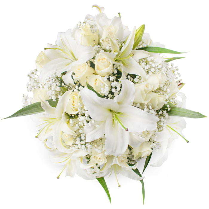 From an overhead vantage on a clean white field, this immaculate, symmetrical round bouquet presents a serene study in white and cream. Dominant are several oriental-style white lilies, their broad, open petals framing pale green stamens and subtle hints of cooler purple and green at the flower centres that add quiet depth to the otherwise luminous palette. Nestled among them are tight ivory roses and partially opened cream buds, their velour petals forming delicate rosettes and layered textures that invite the fingertips. Wisps of white baby's breath thread through the arrangement, producing a cloudlike veil that softens edges and fills negative space with fine detail. A smattering of vibrant green leaves emerges around the perimeter, their clean lines and glossy surfaces offering a refreshing contrast and visually lifting the bouquet from the white background.
The bouquet's scent profile is layered: the lilies lend a fresh, sweet green aroma while the roses provide a classic, heady note, and together they suggest the calm of an early morning stroll past local flower stalls near Finchley Road and the quiet gardens around Hampstead. The composition is dense yet airy, crafted to read beautifully as a bridal posy or a refined centrepiece; it is both celebratory and composed, conveying purity, devotion, and tasteful restraint. Technical care is visible in the uniform spacing of blooms and the considered use of texture - an expert hand has balanced scale, scent, and silhouette to create a bouquet that feels locally made and thoughtfully finished.