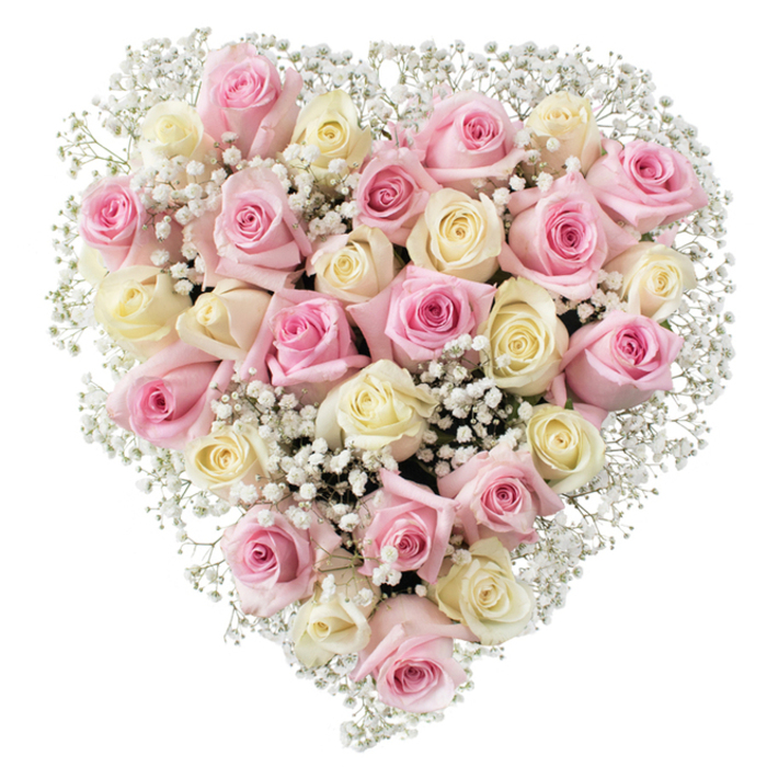 At the centre of this photograph sits a magnificent heart-shaped floral composition, artfully assembled in Golders Green-an area known for its rich community and beautiful green spaces. The heart is densely packed with over thirty roses in soft pastel pinks and creamy white hues, each bloom unfurling in varied states from bud to full blossom. Their velvety textures catch the light, glistening gently against a backdrop of pure white that lends a sense of tranquillity and purity to the arrangement. Nestled delicately between the sumptuous roses, countless tiny white baby's breath flowers create a light, airy feel, reminiscent of a gentle mist rising from Golders Hill Park on a peaceful morning. The luxurious fullness of the bouquet is accentuated by these accents, producing a harmonious blend of colour and texture. The flawless symmetry and precision in floral placement reveal the hands of an experienced Golders Green florist, adept at capturing sentiment and honour in every stem. Whether for a tribute at Hoop Lane Cemetery or as a gesture of love at a family gathering, this piece symbolises heartfelt remembrance, affection, and the timeless beauty of tradition. Each element comes together to evoke warmth, tenderness, and reverence-qualities cherished by the local community.