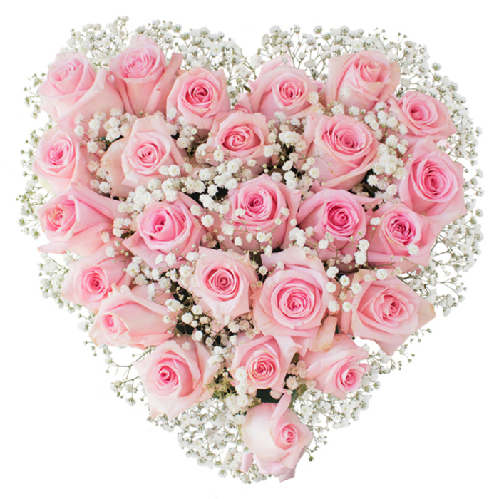 A meticulous heart-shaped presentation of soft pink roses and white baby's breath, photographed against a clean white background so every petal and tiny bloom reads clearly. The roses-two to three dozen in number-are arranged so their rounded faces form a continuous, velvety plane of pastel pink, each blossom at a slightly different stage of unfurling: some still holding a tight conical centre, others eased open to show delicate inner spirals. Wisps of Gypsophila thread through the composition like spun snow, their tiny white flowers softening edges and lending an ethereal, almost lace-like quality that heightens the romantic mood. The lighting is bright and neutral, accentuating the roses' satin sheen and the fresh green hints at the flower bases; you can almost imagine the faint, sweet scent that would rise when the bouquet is first unwrapped. As a local florist in Golders Green, Flowers Golders Green would craft this for occasions ranging from understated anniversaries to elegant wedding décor, and it would travel well for hand delivery to addresses around Golders Hill Park, Temple Fortune, or along Finchley Road. The arrangement's classic symbolism-devotion, tenderness, and heartfelt affection-is rendered with technical care: symmetrical shaping, consistent density, and tasteful contrast between pink and white ensure the heart reads as both an artistic object and an intimate message. This is a composition designed to convey calm assurance and sincere feeling, ideal for anyone seeking a refined, gentle expression of love or remembrance within the local community.
