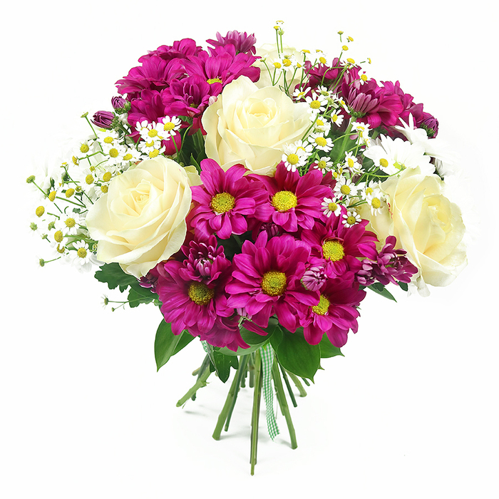 Set against a pristine white backdrop, this hand-crafted bouquet appears almost to float, every bloom and leaf clearly defined. At its heart sit several large, fully opened roses in creamy white, their petals velvety and thick, with a hint of pale yellow warming the centres like soft candlelight. These classic roses are surrounded by a generous ring of fuchsia-magenta chrysanthemums, their many narrow petals giving a slightly ruffled, textural look, while their bright yellow-green centres add a crisp, cheerful contrast. Scattered delicately through the bolder flowers are fine sprays of tiny white daisies, reminiscent of Matricaria or chamomile, each with a neat golden button in the middle, lending the arrangement a light, meadow-like quality, as if it might have been gathered on a quiet stroll not far from Golders Green's leafy streets. Small, darker buds of purple-pink mums emerge here and there, providing depth and a suggestion of future blossoms still to unfold. The greens are fresh and vivid, with classic rose foliage and broader chrysanthemum leaves offering a rich frame that anchors the vivid pinks and soft creams. All the stems are pulled together into a tight, professional bind at the base and finished with a green and white gingham ribbon, giving a charming, almost nostalgic touch, like a gift prepared with care for a neighbour along Golders Green Road. The balanced, rounded shape, the interplay of soft and vibrant colours, and the feeling of just-cut freshness make this bouquet ideal for birthdays, thank-you gifts, or any moment when you want to send a joyful yet refined message.