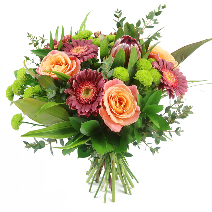 Set against a spotless white background, this hand-tied bouquet looks as if it has just been lifted from a Golders Green florist's workbench, every bloom fresh and full of life. At its centre, plump roses open in generous swirls of peach, coral and salmon, with some petals shading to cream at the edges before deepening into richer orange tones towards the heart. Nestled among them are impactful Gerbera daisies, their petals stacked in layers of deep fuchsia, wine and burgundy, encircling darker, textured centres that sometimes reveal a fine ring of softer pink, giving the bouquet a chic, contemporary vibrancy perfect for a home near Hampstead Heath or Childs Hill. A commanding King Protea sits slightly off-centre, its robust, artichoke-like form cloaked in reddish-brown and mauve-pink bracts, each pointed tip touched with a whisper of blush, adding an unmistakably exotic focal point. Bright lime-green Santini chrysanthemums are scattered throughout like little pom-poms of energy, their compact, spherical heads creating playful contrast against the smoother rose petals and the larger daisy faces. Abundant foliage helps shape the design: broad, glossy leaves anchor the base, while narrower, variegated blades rise through the bouquet, adding lift and a sense of movement. Threaded between are soft stems of eucalyptus, their rounded, bluish-green leaves introducing an airy, natural feel and hinting at a clean, herbal scent. The stems are carefully gathered and tied, cut to an even length to emphasise the hand-crafted, ready-to-gift nature of the arrangement. This thoughtfully balanced bouquet, at once warm, elegant and slightly adventurous, is ideal for birthday surprises, thank-you gestures, or welcoming a new neighbour anywhere in Golders Green and neighbouring Temple Fortune.