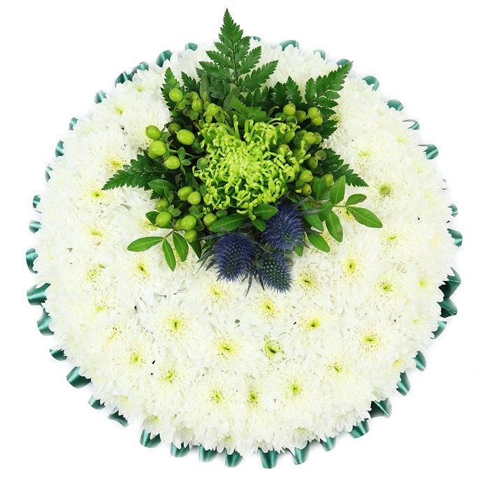 This image shows a meticulously arranged circular funeral tribute, captured from a top-down angle so that the symmetry and detail of the design are fully visible. The main body of the arrangement is formed from hundreds of small white chrysanthemums, their rounded heads snugly nestled together to create an unbroken cushion of soft, velvety texture. Each bloom is pristine and fresh, their delicate petals radiating from subtle pale green centres that give a whisper of colour without disturbing the overall purity of the white. Encircling this floral cushion is a border of deep emerald green satin ribbon, carefully gathered and pleated to form rhythmic scallops. The slight sheen of the ribbon catches the light, framing the flowers and lending the piece a polished, ceremonial finish. Off-centre towards the top lies a rich central spray that gives the tribute character and meaning. A lime-green spider chrysanthemum, with its long, curling petals, bursts from the heart of this cluster, surrounded by glossy apple-green Hypericum berries, layered woodland foliage, and fine, arching fern fronds. Nestled between the greenery are two distinctive Scottish thistles, their spherical, spiky heads shaded in deep blue-violet, adding both contrast and cultural symbolism. The composition balances softness with structure, making the tribute feel both gentle and quietly strong. It is the kind of design a family in Golders Green might choose to mark a farewell at Hoop Lane or one of the nearby synagogues or churches, created by a local florist who understands the area's traditions and the need for respectful, personal touches in times of loss.