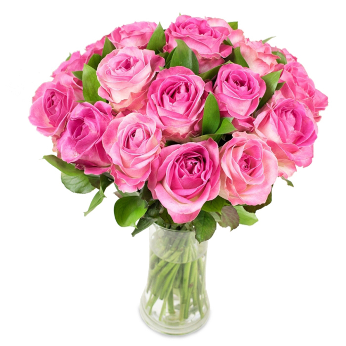 This image shows a full, rounded bouquet of approximately two dozen pink roses presented in a transparent glass vase with a slightly narrowed middle and flared top. Each rose blooms in a layered spiral: a concentrated fuchsia or magenta tone at the core that gently fades through softer rose and blush shades to sometimes cream-tinted outer petals, creating an appealing ombré effect across the cluster. The blooms are tightly packed to form a smooth, domed silhouette, while dark green, glossy leaves peek out between heads, adding sculptural contrast and natural texture. The vase's clarity reveals neatly trimmed green stems submerged in clear water, their straight lines grounding the composition. Lighting is bright and even, set against a white background so the saturated pinks and the velvet texture of each petal are clearly visible-every curl and fold is defined, inviting the viewer to imagine the coolness of glass and the plush softness of petals beneath their fingertips. The faint, sweet fragrance you might expect is reminiscent of early-summer mornings near Golders Hill Park or the floral stalls on Golders Green Road, a scent that carries both celebration and comfort. Crafted with the sensibilities of a local florist familiar with Finchley Road and the surrounding neighbourhood, this arrangement suits romantic gestures, milestone anniversaries, Mother's Day tributes, or as an elegant sympathy offering. If delivered within the Golders Green area, the bouquet arrives with freshness and composure, its confident design reflecting careful selection and precise floral technique.