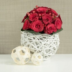 At the heart of the photograph sits a perfectly rounded bouquet of ruby-red roses, their petals thick and velvety, arranged so densely that no gaps are visible between the blooms. Some roses are fully open, displaying their spirals like soft silk rosettes, while others remain slightly cupped, hinting at freshness and the promise of continued unfurling. Threaded among them are clusters of deep red hypericum berries, smooth and glossy against the matte petals, providing a playful contrast in shape and catching the eye like tiny jewels. A low ring of dark green leaves hugs the base of the flowers, barely visible but essential, giving structure and a natural grounding to the design. This floral crown is set into a distinctive spherical container made from white-painted branches, woven into an airy lattice that feels both modern and rustic, as if crafted by hand in a local Golders Green studio. The openwork vase sits on a crisp white table, its shadows stretching gently across the surface in the soft, even light that bathes the scene. To the left, two decorative balls made of pale, natural wicker echo the circular forms and woven texture of the vase, adding a relaxed, organic note that would suit a stylish home off Golders Green Road or a chic wedding breakfast near Hampstead Garden Suburb. The background is a smooth, neutral taupe, quietly receding so that the intense reds stay centre-stage. Everything about the arrangement suggests romance and care: a centerpiece ready to grace a wedding table, a Valentine's dinner, or a heartfelt celebration delivered fresh by local florists across NW11.