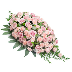 Set against a pure white backdrop, this elongated pink casket spray seems to float in stillness, its teardrop shape broad and reassuring at the top before tapering into a soft, graceful point. The arrangement is composed of an abundance of pastel blooms: large, soft pink roses with layer upon layer of silky petals form the focal points, their rounded heads opening in gentle spirals that suggest loving memories unfolding. Woven among them, smaller light peach-pink carnations provide a delicate ruffle, each fringed petal catching the light and adding a quiet movement across the surface of the spray. The colours move subtly from pale blush to slightly deeper rose tones, creating a soothing gradient rather than any jarring contrast. Around and beneath the flowers, deep green foliage cradles the design. Sturdy, broad leaves anchor the top and sides, while finer, more slender greenery extends from the lower right tip, giving the tribute a sense of natural flow, as if a soft breeze from nearby Golders Hill Park had just brushed past. The overall effect is calm and contemplative, a floral expression of sympathy that feels deeply personal. One can almost imagine this piece resting atop a casket in a Golders Green chapel or placed beside a memorial photograph for a family gathering, its fresh fragrance and tender hues offering comfort. Every element-from the density of the roses to the precise placement of each carnation-reflects the steady hands and experienced eye of a local florist who understands how flowers can quietly say, You were loved, and you will be remembered.