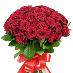 An opulent gathering of radiant red roses dominates this spectacular bouquet, their velvety petals swirling in tight, spiraled layers and exuding a deep warmth reminiscent of cherished moments spent in Golders Green's leafy gardens. The roses, artfully arranged into a full, rounded dome, seem to overflow with passion, each bloom glowing with shades that range from ruby to garnet in the soft morning light. Nestled amongst this sea of crimson are sleek, dark green leaves, each one glossy and textured, introducing vibrant natural dimension to the scene. The stems are entwined and wrapped at the base with a wide, lustrous red satin ribbon that catches the light, fashioned into an intricate bow whose elegant trails evoke the refined streets around Temple Fortune. Every rose appears flawlessly formed-some still tightly closed, brimming with promise, others starting to unfurl and reveal their multi-layered hearts-offering an irresistible invitation for closer contemplation. This bouquet, thoughtfully created by skilled florists near Golders Green station, radiates intimacy and sophistication, perfect for making grand declarations of love or for those moments when words are not enough. The display delivers the sensory indulgence of fresh, fragrant roses, and its classic styling calls to mind timeless romance, providing a fitting centrepiece for anniversaries, special gifts, or unforgettable celebrations in the heart of Golders Green.