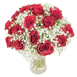 A sumptuous, rounded arrangement of roughly 18-20 deep red roses arranged with abundant white gypsophila creates a scene of classic romance and quiet sophistication. Each rose is chosen for its rich, velvety petals and fully opened form, the blossoms arranged tightly to create a lush, domed profile while the baby's breath slips between and around them like soft, misty clouds. The bouquet is presented in a pristine clear glass vase; the transparency allows the long green stems to read like stems of life beneath the floral canopy, and the clean water amplifies the freshness of the composition. Light is even and bright, catching the delicate textures of the petals and the tiny, starry points of the gypsophila, producing an overall impression that is both celebratory and serene. There is a gentle fragrance - warm rose notes rounded by a hint of sweet green from the baby's breath - that suggests intimate dinners, anniversary breakfasts, or a thoughtful Valentine's gesture. As an experienced local florist serving Golders Green and surrounding streets near Finchley Road and the tube, I often pair this design with a handwritten note or same-day delivery for special occasions; at Flowers Golders Green we take care to ensure each stem is placed for maximum balance and longevity. The design's compact silhouette and tactile contrasts - velvet petals against feather-light sprays - make it equally suitable for an elegant table centrepiece or a bedside arrangement meant to comfort and delight. It reads as timeless, expertly composed, and unmistakably affectionate.