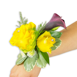 As a florist describing this wrist corsage I notice how the composition is both intimate and bold: two golden-yellow roses anchor the design on a light-skinned wrist, the larger bloom opened to reveal layered petals and a tiny clear diamante tucked into its heart, while a slightly smaller rose sits companionably beside it with its own sparkling gem. Behind and rising above them, a solitary calla lily in a deep, almost black-cherry purple sweeps upward, its satin surface reflecting light and creating a rich contrast to the warm yellow. The piece is photographed against a clean white backdrop so every texture is legible - the airy asparagus-fern tendrils soften the silhouette, variegated green-and-cream leaves provide weight and structure, and clusters of minute white filler flowers pepper the arrangement for depth. The corsage is worn diagonally across the forearm from bottom-left to middle-right, the band discreetly hidden beneath foliage so the flowers appear to float on the skin; you can almost sense the faint perfume of the roses and the cool, slightly metallic flash from the rhinestones as the wearer moves. I imagine delivering this design around Golders Green - perhaps to a family gathering by Golders Hill Park or for a prom party along Finchley Road - where the sunny yellow and dramatic plum will read strikingly in evening photographs. This is a joyful, refined accessory that balances sparkle, scent, and sculptural form with the kind of craftsmanship I bring to orders at Flowers Golders Green.
