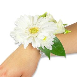 This elegant white wrist corsage, prepared by Flowers Golders Green with neighbourhood sensibility, sits lightly on a pale forearm against a crisp white background. The focal point is a bold, pristine white Gerbera daisy whose numerous, silky petals radiate in a near-perfect circle from a lively yellow-green center that offers a tactile, almost pincushion contrast. Surrounding the Gerbera are clusters of smaller white blooms-fine spray chrysanthemums and creamy lisianthus buds-that provide soft volume and a whisper of layered texture. Behind and between the flowers, rich deep-green foliage such as ruscus or salal gives structure and a cool counterpoint to the bright whites, their glossy surfaces catching a hint of reflected light. The arrangement is fastened with a delicate, multi-strand band of luminous white faux pearls that curve and catch light along the wrist, adding an air of vintage refinement. There is an evoked scent of green freshness and pale florals, a quiet, garden-fresh note as if gathered near Golders Hill Park on an early summer morning. The lighting is soft and even, accentuating petal edges and the gentle shadows between blooms so the craftsmanship is clearly visible. Designed with formal moments in mind-weddings, prom, or a special anniversary-this corsage communicates purity, understated luxury, and human care. Its compact, wearable form and choice of durable blooms reflect a practical elegance well suited for ceremonies and evening events across the Golders Green and Hampstead neighbourhoods.