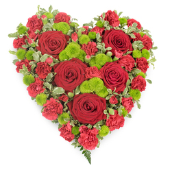 A richly detailed, heart-shaped floral arrangement lies against a clean white background, its colours and textures capturing the eye in a single, eloquent gesture of farewell. The entire heart is saturated with shades of deep red, built up from layers of velvety roses and soft, frilled carnations, creating a plush, almost fabric-like surface. Several large red roses are positioned carefully across the heart, each bloom tight at the centre yet opening petal by petal to reveal the familiar spiral of a classic rose, symbolising enduring love and devotion. Nestled between them, clusters of smaller red carnations form gentle mounds of texture, their many petals crinkled and ruffled, giving depth and richness to the design. Scattered throughout this red tapestry are crisp lime-green button chrysanthemums, their tiny, rounded flower heads made up of compact florets that add a cool, fresh contrast and a modern feel. A subtle border of variegated green and ivory foliage outlines the heart and reinforces its shape, while a small flourish of dark fern fronds emerges near the bottom point, softening the edge and suggesting natural grace. The lighting is even and bright, highlighting the glossy sheen on the rose petals and the intricate detail of every bloom. Crafted with the care of an experienced local florist in Golders Green, this heart would feel at home resting beside a memorial in Golders Hill Park or accompanying a funeral service along Finchley Road, expressing profound sympathy, remembrance, and respect in a single, beautifully composed floral piece.
