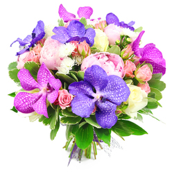 Captured against a crisp white backdrop, this luxurious bouquet looks as if it has just been gathered from the most elegant private garden in Golders Green and expertly tied by hand. Large, ruffled pink peonies dominate the centre, their petals soft and plentiful, creating billows of blush that suggest tenderness and quiet indulgence. They share the spotlight with dramatic Vanda orchids, whose broad petals glow in shades of royal purple, violet, and vibrant magenta, each bloom mapped with intricate veining that feels almost hand-painted. Around them, dainty spray roses in pastel pink and peachy tones emerge at different stages of opening, from tight buds with smooth outer petals to slightly unfurled rosettes revealing inner spirals. Creamy white roses and tiny, spiky white filler flowers add a cool, luminous contrast that keeps the arrangement feeling light and airy rather than heavy. Rich, glossy green leaves frame the bouquet, some broad and solid, others more delicate and variegated, building a lush base that enhances the sense of freshness, like the foliage you might see spilling from gardens off Finchley Road. The stems are gathered neatly and cinched with a purple ribbon, accented by a whisper of sheer mesh, giving a polished, gift-ready appearance. The lighting is bright and even, intensifying the purples, pinks, and greens while casting soft shadows that emphasise the depth of each bloom. This bouquet radiates joy and refined sophistication, perfect for romantic gestures, milestone celebrations, or simply bringing a burst of colour and fragrance into a Golders Green home.