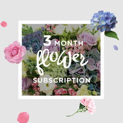 This image shows a hand-tied subscription bouquet that appears as if it has just been placed on a tidy table in a quiet Golders Green home, bathed in soft, indirect daylight. Voluminous blue hydrangeas form the main body of the design, their clustered petals creating a sense of depth and calm, like a cool oasis in the centre of the arrangement. Nestled among them are roses in shades of blush pink and gentle lilac, each bloom unfurling in layers that catch the light and introduce a note of romance and tenderness. Threaded between these are stems of frilled lisianthus, their petals folded and ruffled in a way that gives the bouquet a feathery, almost cloud-like lightness. The greens are fresh and clean, with leaves that curve gracefully around the flowers and provide a rich, natural frame without overwhelming the pastel palette. The colours feel reminiscent of a spring morning stroll past the leafy streets near Golders Hill Park or the quiet paths leading toward Hampstead Garden Suburb, where soft hues and dappled shade create a sense of calm. There is a subtle suggestion of scent-cool, floral, and slightly sweet-rising from the mix, the kind of fragrance that encourages you to pause and breathe more slowly. The bouquet embodies the idea of receiving a fresh, thoughtfully composed arrangement each month, turning routine days into small, gentle celebrations. It is easy to imagine this subscription arriving regularly to doors across Golders Green, bringing brightness to work-from-home desks, dining tables, and bedside cabinets alike.