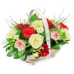 A peaceful funeral basket arrangement, crafted in a light, natural wood container with a softly arched handle, appears to rest in stillness as if placed on a table before a memorial service in Golders Green. The basket is shallow yet wide, supported by subtle little feet that lift it just above the surface, giving the flowers room to spill over in a soft, rounded mound. Inside, creamy white roses open generously, their petals layered like folded silk, forming the emotional heart of the design. They are surrounded by rich red carnations, whose frilled, full blooms provide a vivid contrast, suggesting deep love and respect for the person being remembered. Among these stronger tones are quieter touches: pale pink carnations and bi-coloured varieties with white petals brushed or edged in pink and ruby red, creating a gentle play of colour. Smaller white flowers, reminiscent of freesias, appear on slim stems, their open, bell-like blossoms giving a feeling of lightness and quiet prayer. A full layer of dark green foliage cradles the flowers, the broad glossy leaves and fine, feathery sprigs combining to suggest a small, tended garden rather than a rigid formal tribute. Every element is carefully placed, so the arrangement forms a graceful dome that slightly overflows the rim of the basket. Against a bright white background, each flower and leaf is clearly defined, making the reds richer and the creams softer. The overall mood is one of calm dignity, suitable for a funeral, wake, or condolence delivery to families around Golders Green, Hampstead Garden Suburb, or nearby streets where a thoughtful, comforting gesture is needed.