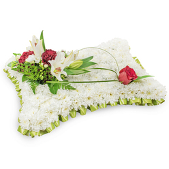 This rectangular sympathy cushion is a quiet study in texture and tone: hundreds of small white chrysanthemums are arranged into a seamless, plush surface that resembles a soft pillow, each floret reflecting cool, gentle light and lending the piece a serene, cloud-like quality. A pleated pale lime-green satin ribbon outlines the form, its slight sheen and frilled edge adding a refined, comforting detail that frames the tribute. Rising from the upper left, a naturalistic cluster anchors the design - two fully open white Oriental lilies with pale yellow stamens, a graceful closed bud, and clusters of deep burgundy spray carnations whose compact ruffles and warm tones create a dramatic counterpoint to the chrysanthemum field. Varied greenery - dark fern fronds and glossy salal leaves - provides a lush background and softens the transition from flowers to base. Two slender, arching loops of green bear grass or salal draw a gentle curve across the cushion and culminate in a single deep red rosebud on the right, its velvety petals only beginning to loosen, a tender emblem of lasting love. The scent is suggested rather than overpowering: a faint lily sweetness beneath the cool, green mineral of foliage. Crafted with the care you would expect from Flowers Golders Green, this piece is suited to funeral chapels near Golders Green Station and local services around Finchley Road, designed to bring calm, comfort, and reverent beauty to those saying goodbye.