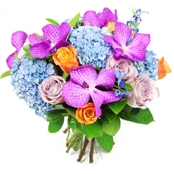 A richly detailed, hand-tied bouquet stands out sharply against a clean white background, revealing every nuance of colour and texture as if it were freshly prepared in a Golders Green flower studio. Dominating the composition are several Vanda orchids in deep magenta and fuchsia, their broad petals patterned with fine white speckles and vein-like markings that resemble a delicate lattice. These exotic flowers are thoughtfully spaced through the arrangement, lending hauteur and drama, the kind of flourish you might choose for a special gathering near Golders Hill Park. Beneath and around them, generous clusters of powdery sky-blue hydrangeas form a rounded, pillowy base. Each hydrangea head is built from scores of tiny individual florets, giving a sense of abundance and softness, like a bank of clouds breaking over Finchley Road. Interwoven with this cool blue softness are roses in two complementary palettes. The first are bright, almost zesty orange roses, their petals still fairly tight at the centre but beginning to unfurl at the edges, suggesting joy, energy, and a hint of spontaneity. The second are muted lavender and dusty mauve roses, velvety to the eye, their understated colour adding calm sophistication and a romantic undertone. Slender spikes of deeper blue, delphinium-style flowers slip between the larger heads, introducing a slightly wild, garden-picked feel. Around the blooms, glossy dark green foliage fans out, framing the colours and grounding the bouquet in natural freshness. At the bottom, straight green stems are visible, neatly gathered and tied, reinforcing that this is a carefully crafted hand-tied design. The overall dome-shaped arrangement feels both modern and timeless, a luxurious choice for sending heartfelt congratulations or a thoughtful "thinking of you" across Golders Green and the nearby Hampstead Garden Suburb.