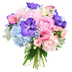 This image shows an abundant, round bouquet resting against a plain white background, so that every colour and curve draws the eye. Multiple light pink peonies, fully open and softly domed, form the main focus; their layers of ruffled petals create a plush, almost cushion-like texture that captures the essence of romance. Nestled among them, clouds of powder blue hydrangea provide a cooling counterpoint, each tiny floret combining to form larger heads that mimic the calm, open sky above the tree-lined streets around Golders Green station. Threaded through this pastel softness are dramatic deep purple Vanda orchids, their petals wide and velvety, patterned with distinctive darker speckles that lend the bouquet a sophisticated, contemporary edge. Fuchsia pink calla lilies bend gracefully outward, their sculptural, trumpet forms and gently darkened centres introducing movement, as if the bouquet is quietly unfurling. Small blush spray roses fill the spaces between larger blooms, giving an intricate, lace-like texture reminiscent of traditional English gardens in nearby Hampstead. Silvery dusty miller and dark green leaves surround and support the flowers, offering both contrast and a soothing, natural frame. At the base, you can see the cleanly cut stems bound together, suggesting a fresh, hand-tied arrangement ready for delivery from a local Golders Green florist. The whole composition feels like a carefully composed love letter in flowers, ideal for marking engagements, milestone birthdays, or intimate celebrations at home, bringing a sense of calm luxury and gentle joy to any setting across NW11.
