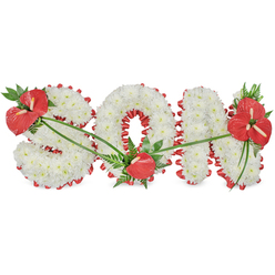 A large floral tribute spelling "SON" is shown against a bright white background, allowing the structure and texture of the design to stand out with clarity. Each letter is solidly formed from tightly massed white chrysanthemums, creating a dense, cushion-like surface that looks both soft and impeccably neat, as though every bloom has been individually checked and placed. Around the edges of the letters runs a vivid red satin ribbon, gathered into gentle folds so that a scalloped border peeks out from beneath the white petals. The ribbon also traces some of the inner contours, most clearly around the open centre of the "O," giving the arrangement definition and a slightly formal finish, like a carefully tailored garment. Three groups of red anthuriums, instantly recognisable by their glossy, heart-shaped faces and bright spadices, provide dramatic points of colour. One generous cluster, accompanied by deep green leaves and light, feathery fronds, decorates the upper left of the "S"; a single anthurium glows at the base of the "O"; and a more elaborate grouping spreads across the top right of the "N," its foliage spilling gently over the white flowers. Slender green blades arch across the letters, softly connecting each red cluster and introducing a natural rhythm. The overall mood is one of solemn love and respect, suitable for a funeral or memorial service for a son from a close-knit family in Golders Green, perhaps travelling from nearby Temple Fortune or Childs Hill. The tribute appears freshly made, with crisp petals and gleaming leaves, a carefully crafted piece that offers comfort and a sense of dignity.
