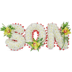 We created a three-dimensional sympathy tribute that spells out SON, each letter built from dense clusters of pristine white chrysanthemums whose tiny petals form a seamless, cloud-like surface. The letters are edged with a continuous band of bold red ribbon, folded into small scallops that frame the white blossoms and introduce a note of courage and affection against the neutral backdrop. Near the upper left curve of the S, at the base of the O, and along the top stroke of the N, lime-green Cymbidium orchids provide focal points; their smooth, waxy petals are a yellow-green shade with a delicate reddish-brown marking in the throat, a touch that brightens the composition without disturbing its quiet dignity. Sprays of glossy green leaves and fine fern fronds weave among the letters, creating gentle movement and soft vertical accents that lift the design from its flat plane. In soft natural light - similar to early afternoon light filtering into a chapel or into the gardens near Golders Hill Park - the contrast between the matte chrysanthemums and the satin orchids becomes particularly tender, and the red ribbon seems to glow. As a local florist serving Golders Green and surrounding streets like Finchley Road and Golders Green Road, Flowers Golders Green often prepares this style of personalised memorial for funerals, graveside services, or tokens of condolence; it reads as both an intimate message and a crafted floral sculpture, intended to speak for the heart when words feel insufficient.