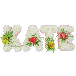 The image shows a thoughtfully designed funeral flower tribute that spells out KATE in bold, upright capital letters, laid against a simple white background so nothing distracts from the flowers themselves. Each letter is densely covered with pristine white chrysanthemums, their small, rounded petals forming a velvety surface that feels both pure and comforting. Around the outer edge of every letter, a neatly pleated light pink ribbon provides a soft contour, the pastel hue bringing a sense of warmth and quiet affection. Within this snowy backdrop, the florist has added vibrant focal blooms: lime-tinted cymbidium orchids with rich, reddish markings brighten the left arm of the K and the base of the T, while glossy, heart-shaped red anthuriums sit near the centre of the A and the curve of the E, symbolising love that endures beyond loss. These statement flowers are cradled by layers of dark and mid-green foliage, from broad leaves to airy fern fronds, giving the tribute movement and dimension. Slender green vines meander gracefully from letter to letter, visually joining K, A, T, and E like a gentle thread of memory running through the name. Designed as a bespoke sympathy arrangement, the tribute feels as though it could be placed lovingly at a Golders Green church, a quiet cemetery near the high street, or in a family home during a wake, providing a tender and very personal expression of remembrance from local mourners.