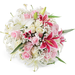 A lush, densely packed bouquet of lilies and roses sits against a crisp white studio background, its round silhouette glowing as though freshly arranged in a quiet Golders Green flower shop. The eye is first drawn to the generous white lilies, their broad petals opening gracefully, with pale green throats and delicate stamens that hint at a gentle, sweet fragrance. Tucked intimately around them are soft blush pink roses and creamy white roses in different stages of bloom, from small, expectant buds to fully expanded flowers that look almost silky to the touch. Cutting through the softness, several vivid magenta Oriental lilies, similar to Stargazers, create points of drama, their deep pink petals speckled with darker tones and framing bright pollen-tipped stamens. Between these larger focal blooms, airy sprigs of white baby's breath form a fine, cloud-like veil, softening the arrangement and making it appear even fuller. Slender, glossy green leaves and hints of stems peek from beneath the flowers, grounding the design and suggesting freshly cut garden foliage. The overhead lighting is bright and even, ensuring every colour and texture stands out clearly, while the white background keeps the focus entirely on the flowers themselves. This bouquet feels like an elegant expression of joy and affection, perfectly suited to anniversaries, milestone birthdays, or a romantic 'just because' gesture for someone living near Golders Hill Park or along North End Road. It captures the quiet luxury and heartfelt sentiment that locals often look for when sending flowers around Golders Green.