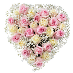 Captured in the soft, ambient morning light of Golders Green, this heart-shaped floral arrangement embodies a delicate balance of artistry and emotion. Plush pink roses, their petals gently furled and inviting to the touch, are nestled alongside creamy white and subtle pale yellow blooms, each rose radiating gentle beauty and layered meaning. Ethereal sprigs of baby's breath weave thoughtfully throughout, providing a dreamy contrast that lightens the composition and creates a sense of calm reminiscent of strolls through Golders Green's quiet lanes. The arrangement is harmoniously full, with the roses carefully arranged to form a symmetrical heart-symbolic of enduring love, remembrance, and care. The crisp white backdrop highlights each gentle hue, from the romantic blush of the roses to the soft halo of white gypsophila, making the entire design glow with warmth. As fresh as a morning bouquet plucked from a garden near Golders Green Road, this arrangement offers comfort and elegance, suited for expressing affection, marking special moments, or reflecting on the bonds that tie us together in both celebration and grief. The artistry speaks of local experience, offering solace with every petal placed.