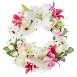 Displayed on a clean white background, this open circular wreath feels like a quiet embrace made from flowers, its ring filled with white, blush, and deep magenta tones that balance solemnity with warmth. Large white lilies, their petals spread wide and smooth like satin, anchor the design, each blossom revealing soft green throats and pollen-tipped stamens that catch the light. Interwoven with them are striking deep pink and fuchsia lilies, some with delicate speckling, which introduce a richer note of colour and a sense of heartfelt intensity often chosen for meaningful farewells. Between these star-shaped blooms, you can almost sense the softness of the roses: pale pink buds just beginning to open, alongside creamy white roses fully unfurled, their layered petals forming intricate spirals. White gerbera daisies punctuate the wreath with their dark centres and radiating petals, adding brightness and a subtly cheerful texture that still feels completely appropriate for a tribute. Smaller white blossoms - likely spray carnations or tiny chrysanthemums - fill in the spaces, giving the wreath a plush, continuous appearance with no harsh gaps. Surrounding and supporting everything is a collar of lush green foliage, with leaves that curve and overlap, echoing the gentle loops of the circular form. Crafted in the style often requested by families around Golders Green and Temple Fortune, this floral wreath would suit a funeral, memorial, or celebration of life, offering a sense of calm, dignity, and quiet compassion, as if bringing a peaceful garden moment into the service.