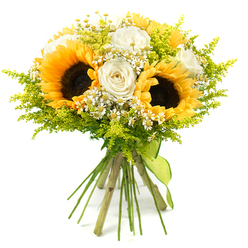 This hand-tied sunflower and rose bouquet appears almost to glow against its clean white backdrop, as if it has just arrived fresh from an early-morning flower run through the markets that serve Golders Green. At its centre, three generous sunflowers display bold golden-yellow petals around velvety dark brown cores, each disk slightly textured and seed-like, drawing the eye immediately. Around them gather creamy white roses in various stages of bloom, some tight and promising, others fully open, their layered petals spiralling outwards in soft, elegant curves that bring a refined calm to the arrangement. Interlaced between these larger flowers are clusters of small white, daisy-style blossoms with sunny yellow centres, evoking chamomile or feverfew and adding a delicate, countryside charm, as if plucked from a grassy verge near Golders Hill Park. Wisps of bright lime and chartreuse-green filler foliage, reminiscent of fine solidago, fill the spaces with airy volume, lending the bouquet a rounded, abundant silhouette while keeping it light and breezy. The stems, neatly aligned and freshly cut, are tied at the base with a simple lime-green ribbon that folds and trails gently, echoing the freshness of the foliage. The overall impression is of a bouquet that carries warmth, optimism, and relaxed sophistication-equally fitting for a sunlit kitchen table on Hodford Road, a cheerful congratulations arrangement delivered to a friend near Brent Cross, or a thoughtful thank-you gift that brings a burst of late-summer joy into any Golders Green home.