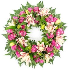 A lush circular sympathy wreath, photographed against a pure white background, is composed entirely of fresh pink flowers and luxuriant greenery, creating an unbroken ring of colour. The design is dominated by roses in rich magenta, fuchsia, and softer shell-pink, their petals layered like silk, some gently cupped and others fully exposed in wide, ruffled rosettes. Nestled among them are opulent double lilies, their petals overlapping in shades of blush, cream, and the palest peach, with a few still-closed buds in bright yellow-green promising blooms yet to open. The lilies' softly fluted petals curve outwards, revealing subtle speckles and faint veins of deeper pink that draw the eye into their centres. Around and beneath the flowers, deep green foliage fills every gap: slender fern fronds with feathery tips, sturdy glossy leaves, and occasional lighter green shoots that add texture and depth. The wreath has a carefully balanced symmetry, no side heavier than another, giving it a peaceful, steady presence that suits a funeral, memorial service, or celebration of life. The white background isolates the wreath, making the colours appear more vivid, almost as if you are viewing it in gentle daylight in a quiet Golders Green chapel or community hall. This arrangement feels like a tender embrace, suitable for families across Golders Green who wish to send a refined, traditional floral tribute that conveys love, remembrance, and quiet support without the need for words.