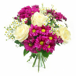 A lush mixed bouquet is photographed in sharp focus against a clean, bright white background, giving the impression that it has just been lifted from a flower stall on Finchley Road into a studio. Dominating the arrangement are several fully opened roses in a creamy white shade that fades into a pale buttery yellow at the centre, their layered petals curling softly outward in perfect spirals. Encircling the roses, generous sprays of fuchsia and magenta chrysanthemums bring a lively energy, their many slender petals radiating from bright yellow-green discs that resemble tiny suns. Threaded delicately throughout are fine stems of miniature white daisies, similar to chamomile, each tiny bloom with a clear yellow eye, lending an airy, slightly wild note, as if freshly gathered from a garden near Golders Hill Park. Deeper-toned chrysanthemum buds in purple-pink peek between the open flowers, adding depth and a sense of movement to the design. The greenery is rich but restrained, with fresh, deep green leaves providing contrast and framing the flowers without overwhelming them. All the stems are drawn neatly together at the base and wrapped in a green and white checked ribbon, suggesting both care and craftsmanship by a local Golders Green florist. The overall mood of the bouquet is bright, warm, and welcoming, perfectly suited for sending congratulations, celebrating a special day, or simply bringing a wash of colour and soft floral scent into a home or office off Golders Green Road.