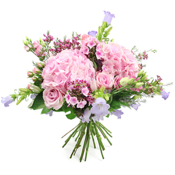 The image presents a lush, round bouquet held together in a classic hand-tied style, silhouetted cleanly against a pure white background so every petal and leaf is easy to appreciate. Dominating the composition are generous mounds of pink hydrangea, their many layered, ruffled florets overlapping like soft fabric, giving the arrangement a full and luxurious core. Threaded among these hydrangeas, light pink roses open in graceful spirals, while a few tighter buds hint at blooms still to come, adding a quiet sense of anticipation. From different angles around the bouquet, slim stems of bell-shaped flowers in pastel lavender and gentle lilac emerge, their cups slightly flared as if catching light, adding both height and an airy, whimsical rhythm. Tiny clusters of darker pink and fuchsia filler flowers provide a lively contrast, their smaller petals and intricate textures breaking up the larger shapes and adding depth. A generous collar of fresh greenery, from broad leaves to narrow, budding stems, frames the flowers, grounding the palette of pinks and purples with a vivid green freshness that feels as though it has just been brought in from a garden near Golders Green station. The stems are left visible at the base, cut evenly and bound together, reinforcing the sense of skilled, local craftsmanship. The overall impression is one of tender celebration and soft romance, a bouquet perfectly suited for a Golders Green birthday surprise, an anniversary dinner along Golders Green Road, or a thoughtful thank-you gift delivered to a home near Hampstead Garden Suburb, filling the room with colour and quiet happiness.
