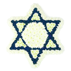A large Star of David floral tribute is presented on a plain white background, its precise geometry shaped entirely from white and deep blue flowers that evoke the traditional colours of Jewish ritual. The outer perimeter of the Magen David is edged with a thick, soft halo of white chrysanthemums or similar small-petalled blooms, each floret pressed closely to the next so the star's outline appears almost embroidered in petals. Inside this border, a bold central hexagon of the same bright white flowers forms the heart of the design, glowing softly against the navy and indigo blossoms that fill the six points. Those blue segments are rich and velvety in tone, suggesting dyed carnations or chrysanthemums, and they create the sense of a deep, protective field around the pure white centre. At the base of each outward-pointing triangle, there is a smaller triangle picked out again in white, so that the colours step back and forth, white into blue and blue into white, like an intricate, living mosaic. The close, dome-like texture of the flowers gives the tribute a padded, almost cushioned feel, suitable for quiet moments of touch or contemplation. This kind of arrangement would be chosen for a Jewish funeral or memorial in Golders Green, perhaps travelling from a local florist near the station to a synagogue on The Ridgeway or a chapel at Golders Green Crematorium. It carries an atmosphere of reverence and gentle sorrow, expressing respect for the deceased while surrounding their memory with calm, ordered beauty.