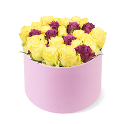 This round, pastel pink box holds a lush dome of blooms, a study in contrast and harmony that speaks of thoughtful gifting in Golders Green. The bouquet centers on sunny yellow roses, their petals unfurling into cheerful, citrus-warmth. They are carefully punctuated by smaller deep burgundy or purple roses, whose velvety petals anchor the arrangement with elegance. The roses are packed tightly for maximum impact, yet the composition remains polished and balanced, with just a whisper of green foliage at the back to frame the blossoms. The box itself features a soft matte finish, its pale pink tone amplifying the bouquet's radiance against a clean white background. Lighting is bright and even, highlighting the satin sheen of petals and the plush quality of the box. This is a gift that speaks of celebration and refined taste, suitable for milestone events, romantic gestures, or simply to lift someone's spirits. It embodies the artistry and intention of a local Golders Green florist who understands how color tells a story. Flowers Golders Green offers this arrangement with dependable service, including same-day delivery across Golders Green and nearby areas when orders come in by early afternoon.