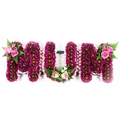 Set against a clean, bright white background, this funeral flower tribute spells out "MUM" in bold, capital letters, each one built like a small floral sculpture. The faces of the letters are entirely covered with compact magenta and deep purple chrysanthemums, tightly placed so that no gaps of foam or structure show through. Each blossom carries a vivid lime-green centre, dotting the design with tiny flashes of light and giving the piece a lively yet dignified character, reminiscent of colourful baskets lining the shops along Golders Green Road. A delicate, softly ruffled light pink ribbon runs around the outside edges of every letter, its gentle folds creating a refined frame and adding a touch of tenderness. The top left of the first "M" is highlighted with a pretty cluster of bright pink roses, some fully opened and others still in bud, resting against sprays of fern fronds and fresh foliage that spill slightly beyond the letter's outline. At the base of the central "U", a more serene composition of pastel blush and cream roses sits among variegated greenery and small white filler flowers, arranged in a low crescent that echoes the shape of the letter. The top right of the second "M" carries a matching group of deep pink roses and airy green fern leaves, bringing balance to the overall design. This carefully composed sympathy tribute, familiar to many families around Golders Green crematorium and nearby synagogues, expresses enduring love, remembrance, and gratitude for a devoted mother.