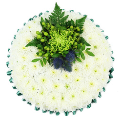 Viewed from above against a clean white background, this round funeral cushion appears like a serene, snow-white island of flowers, carefully crafted to convey peace and remembrance. The base is made from countless small white chrysanthemums, tightly packed so that no gaps show, creating a smooth, velvety field of petals. Each floret has a tiny greenish-yellow centre, adding the softest hint of colour and giving the arrangement a living, breathing quality rather than stark whiteness. Around the outer edge, a rich emerald satin ribbon is neatly folded into gentle pleats, forming a scalloped frame that lends structure and refinement, almost like the edging on a ceremonial garment. Set slightly above centre, a lush, multi-textured cluster draws the eye. At its heart is a bold lime-green spider chrysanthemum, its fine, elongating petals curling and twisting to form a vivid burst of green. Surrounding it, bright green Hypericum berries, polished and round, mingle with deep green leaves and airy fern fronds, creating a sense of natural movement. Two prominent Scottish thistles, coloured in muted tones of dusty blue and violet, rise from the foliage with their spiky, architectural forms, suggesting strength, heritage, and individuality. The palette of white, green, and blue feels cool and contemplative, ideal for a memorial gathering in a quiet corner of Golders Hill Park or a service at one of Golders Green's local chapels. Thoughtfully composed by experienced florists in the area, this tribute offers a gentle way to say goodbye while honouring both personal stories and cultural roots.